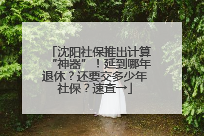 沈阳社保推出计算“神器”！延到哪年退休？还要交多少年社保？速查→