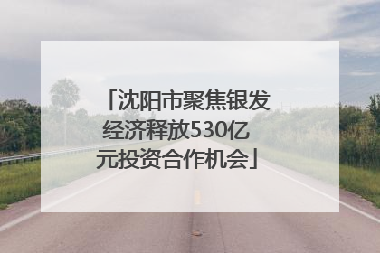 沈阳市聚焦银发经济释放530亿元投资合作机会