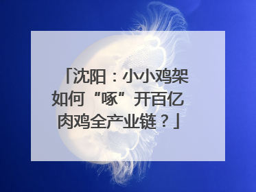 沈阳：小小鸡架如何“啄”开百亿肉鸡全产业链？