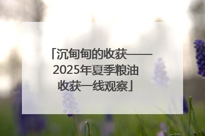 沉甸甸的收获——2025年夏季粮油收获一线观察