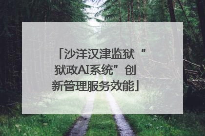 沙洋汉津监狱“狱政AI系统”创新管理服务效能