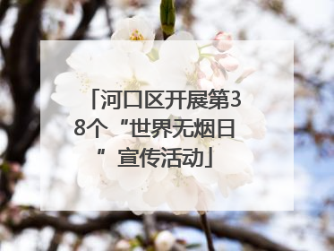 河口区开展第38个“世界无烟日”宣传活动