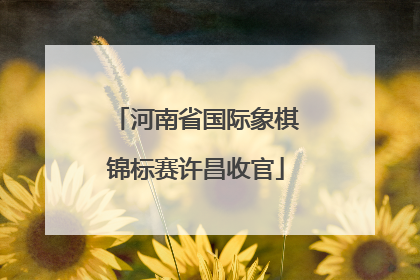河南省国际象棋锦标赛许昌收官