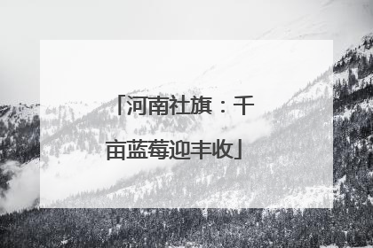 河南社旗：千亩蓝莓迎丰收