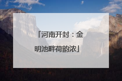 河南开封：金明池畔荷韵浓