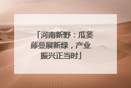 河南新野：瓜蒌藤蔓展新绿，产业振兴正当时