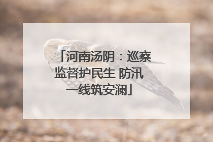 河南汤阴：巡察监督护民生 防汛一线筑安澜