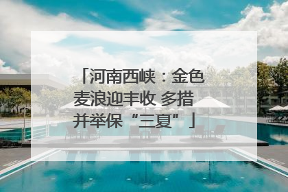 河南西峡：金色麦浪迎丰收 多措并举保“三夏”