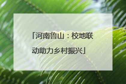 河南鲁山：校地联动助力乡村振兴