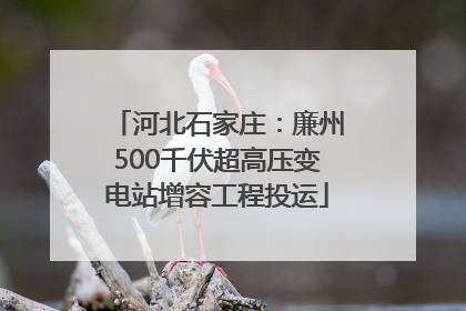 河北石家庄：廉州500千伏超高压变电站增容工程投运