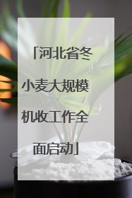 河北省冬小麦大规模机收工作全面启动