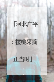 河北广平：樱桃采摘正当时