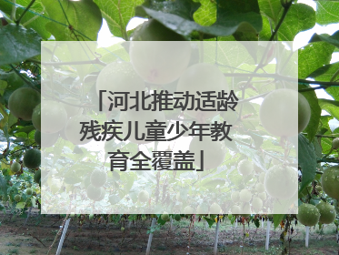 河北推动适龄残疾儿童少年教育全覆盖