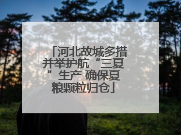 河北故城多措并举护航“三夏”生产 确保夏粮颗粒归仓