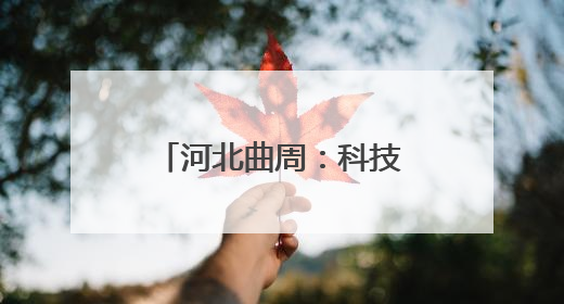 河北曲周：科技小院忙“三夏”