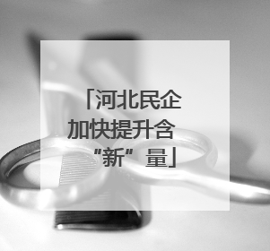 河北民企加快提升含“新”量