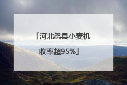 河北蠡县小麦机收率超95%