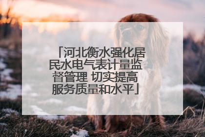 河北衡水强化居民水电气表计量监督管理 切实提高服务质量和水平