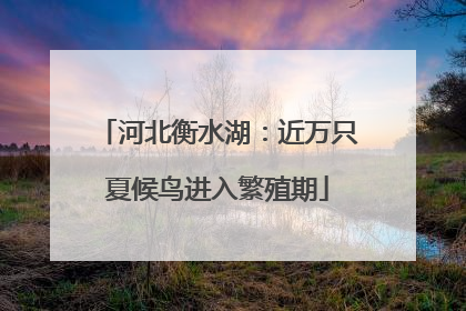 河北衡水湖：近万只夏候鸟进入繁殖期