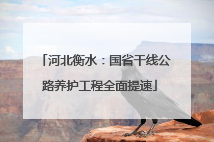 河北衡水：国省干线公路养护工程全面提速