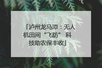 泸州龙马潭：无人机田间“飞防” 科技助农保丰收