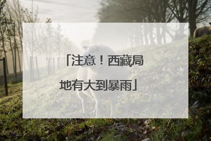 注意！西藏局地有大到暴雨