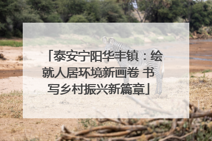 泰安宁阳华丰镇：绘就人居环境新画卷 书写乡村振兴新篇章