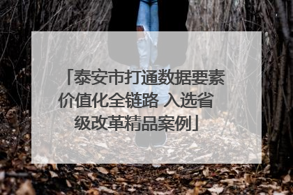 泰安市打通数据要素价值化全链路 入选省级改革精品案例
