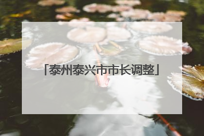 泰州泰兴市市长调整