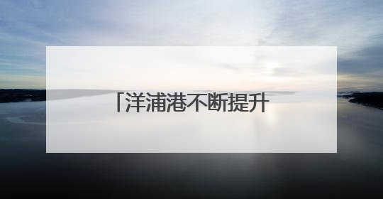 洋浦港不断提升现代航运服务能级 促进航运扩大开放政策快速落地