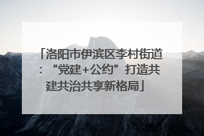 洛阳市伊滨区李村街道：“党建+公约”打造共建共治共享新格局