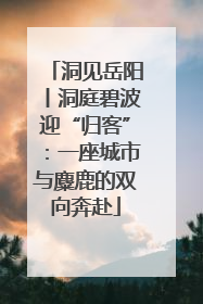 洞见岳阳丨洞庭碧波迎“归客”：一座城市与麋鹿的双向奔赴