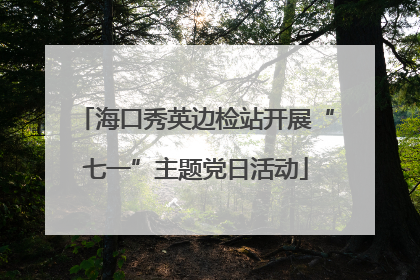 海口秀英边检站开展“七一”主题党日活动