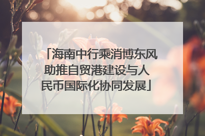 海南中行乘消博东风 助推自贸港建设与人民币国际化协同发展