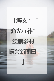 海安：“渔光互补” 绘就乡村振兴新图景