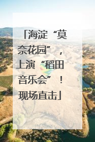 海淀“莫奈花园”，上演“稻田音乐会”！现场直击