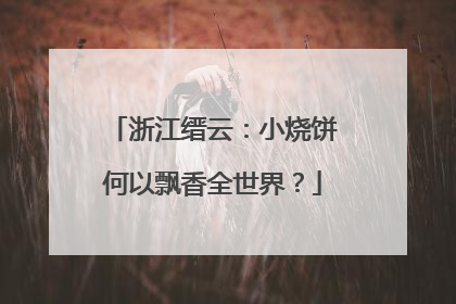 浙江缙云：小烧饼何以飘香全世界？