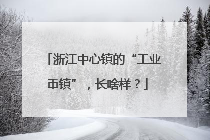 浙江中心镇的“工业重镇”，长啥样？