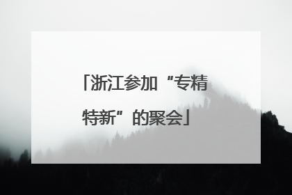 浙江参加“专精特新”的聚会