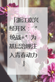 浙江嘉兴经开区：“统战+”为基层治理注入青春动力