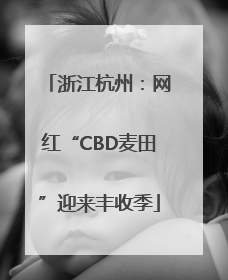 浙江杭州：网红“CBD麦田”迎来丰收季