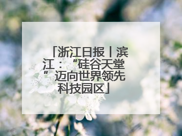 浙江日报丨滨江：“硅谷天堂”迈向世界领先科技园区