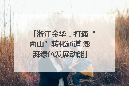 浙江金华：打通“两山”转化通道 澎湃绿色发展动能
