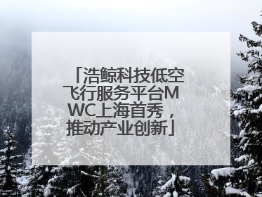 浩鲸科技低空飞行服务平台MWC上海首秀，推动产业创新