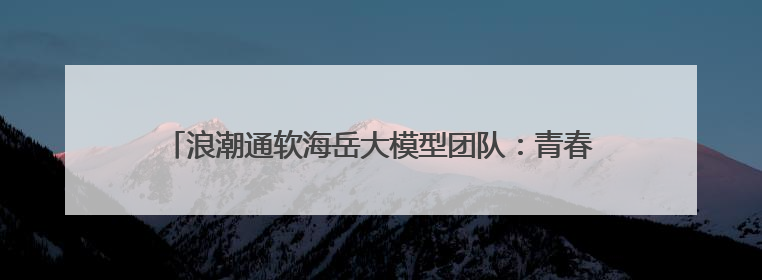浪潮通软海岳大模型团队：青春逐浪，智启新程｜青春思政课