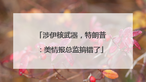 涉伊核武器，特朗普：美情报总监搞错了