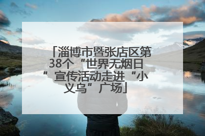 淄博市暨张店区第38个“世界无烟日”宣传活动走进“小义乌”广场