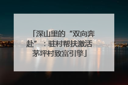 深山里的“双向奔赴”：驻村帮扶激活茅坪村致富引擎