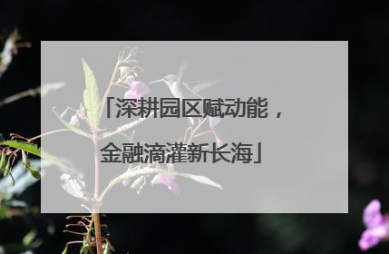 深耕园区赋动能，金融滴灌新长海