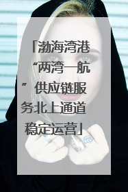 渤海湾港“两湾一航”供应链服务北上通道稳定运营